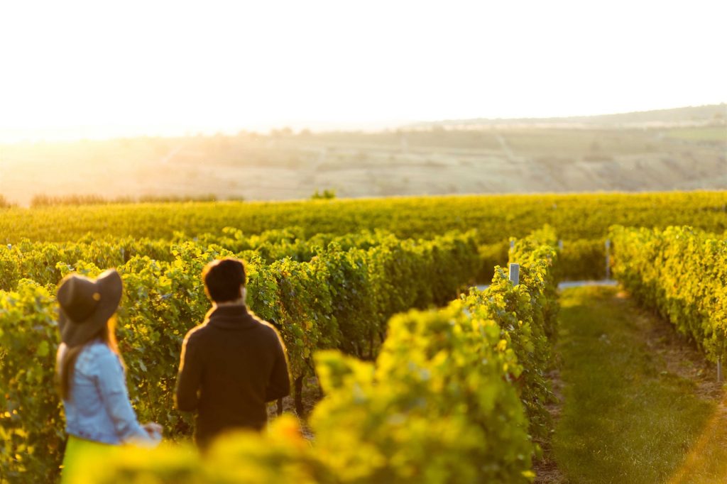 PC WINERY