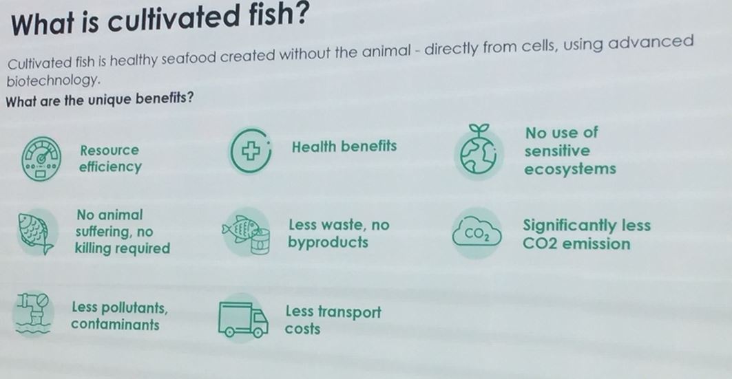 fish4