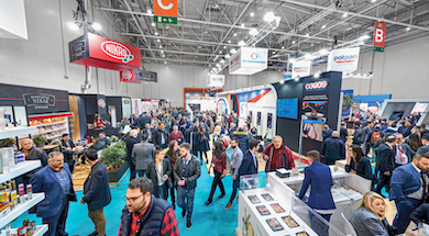 horeca31