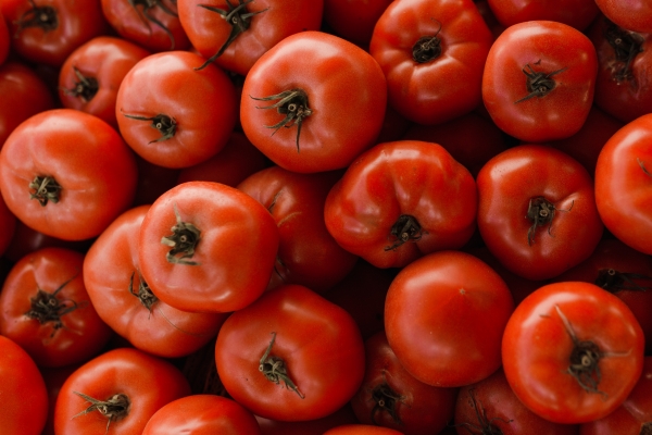 Διπλάσια η τιμή της ντομάτας στο Ηνωμένο Βασίλειο